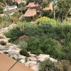 Mantener Jardín