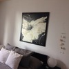 Insonorizar pared dormitorio