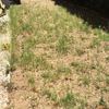 Poner suelo en jardin