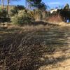 Valla de separación de parcela