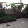 Realizar Mantenimiento de jardín