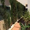 Realizar Puesta a Punto de Jardín