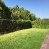 Mantenimiento Jardín