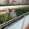Reparar Toldo y posible Automatización