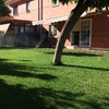 Mantener Jardín