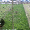 Cerramiento finca