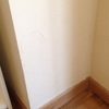 Reparación humedades pared y parquet