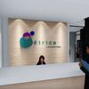 Presupuesto oficina las tablas