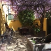 Otros Trabajos De Jardinería