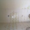 Pintar Interior De Vivienda