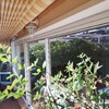 Muro ventana térmica más persianas automatizadas antirobo 2,22 x 4,95m