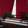 Reparar Toldo