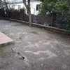 Plantar cesped en jardin de tierra