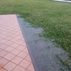 Mantener Jardín