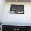 Cambiar techo exterior pladur por otro material
