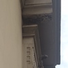 Control de Aves