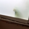 Arreglar los marcos de madera de un ventanal doble en la terraza
