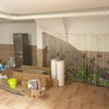 Basement /garage transfer into living room
