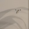 Trabajos Varios Manitas
