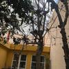 Otros Trabajos De Jardinería