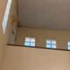Limpieza y pintura de paredes y techos