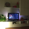 Montar Muebles