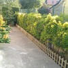 Mantener Jardín
