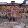 Gunitar terreno