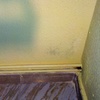 Revisar Humedad en Pared