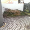 Poner el suelo de hormigon en el patio