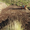 Obra araya