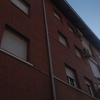 Nidos de ave en el tejado
