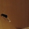 Arreglar agujero de la puerta de madera