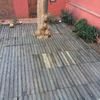 Poner suelo en patio