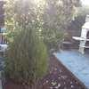 Arreglo jardin