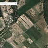 Zona forestal en finca rústica