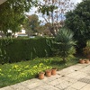 Arreglar jardin