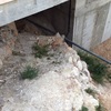 Construir escalera en valencia (villamarchante)