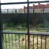 Reform jardin