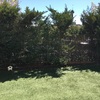 Arreglar jardin