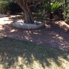 Poner hormigon impreso en jardin