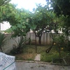 Puesta a punto jardin
