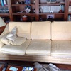 Tapizado sofas