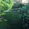 Presupuesto para mantenimiento de jardin