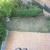 Reformas en jardín en barcelona
