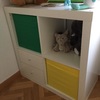 Lacar y arreglar muebles habitación bebe