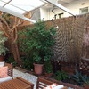 brezo jardin