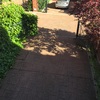 Limpiar zona jardin
