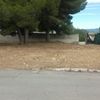 Talar tres pinos