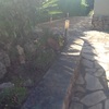 Desbrozar Jardín